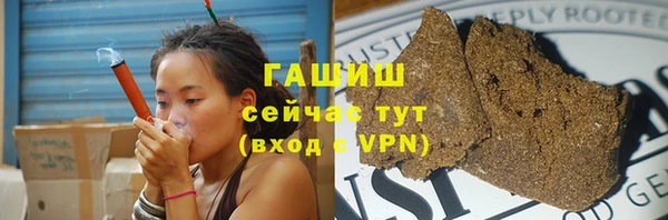 индика Дмитров