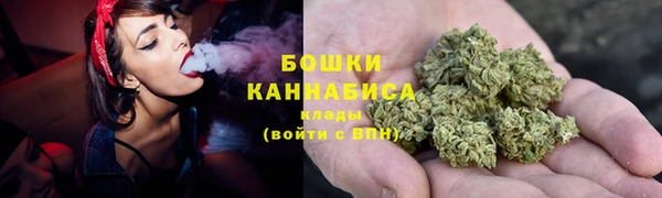 индика Дмитров