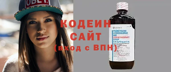 прущая мука Дмитриев