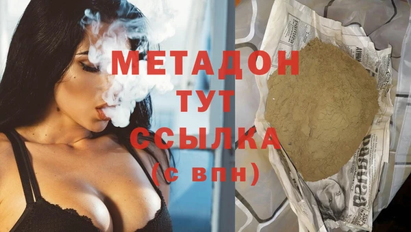 прущие грибы Елизово