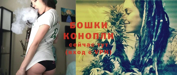 индика Дмитров