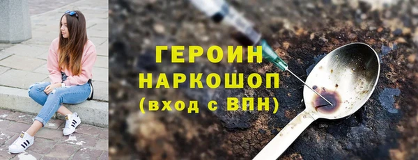 индика Дмитров
