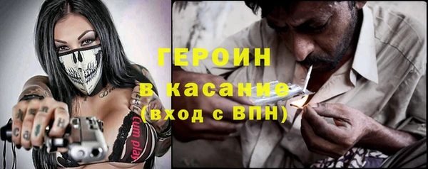 индика Дмитров