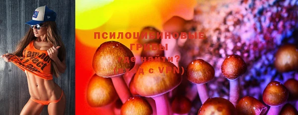 MDMA Дмитровск