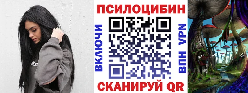 Псилоцибиновые грибы мицелий Зеленокумск